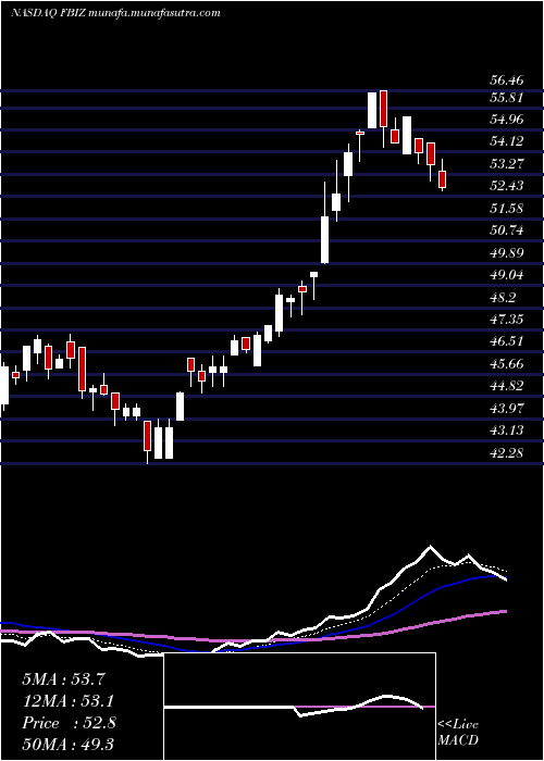  Daily chart FirstBusiness