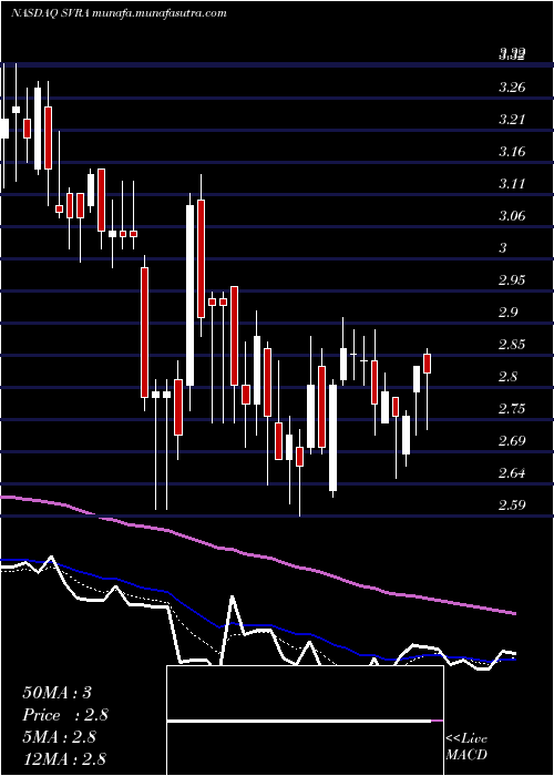  Daily chart SavaraInc