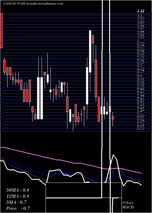  Daily chart MingzhuLogistics