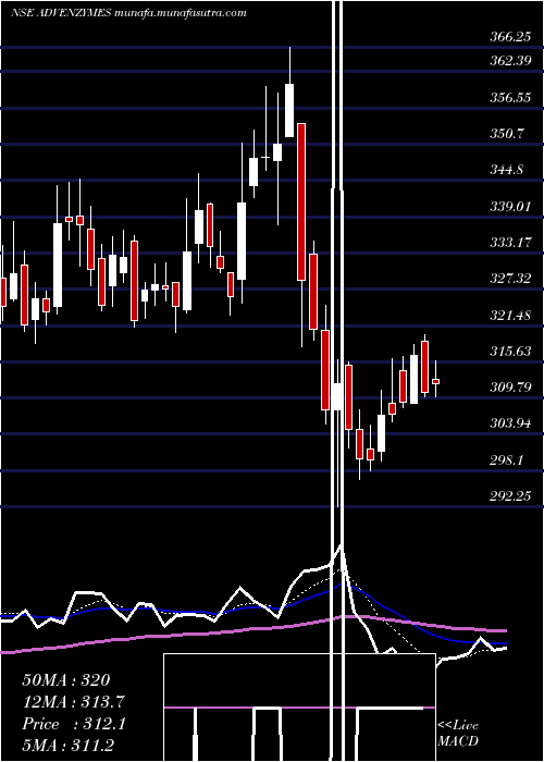  Daily chart AdvanceEnzyme