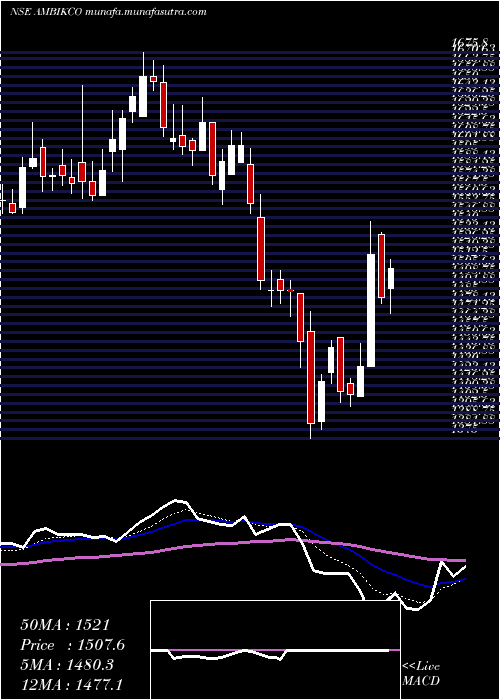  Daily chart AmbikaCotton