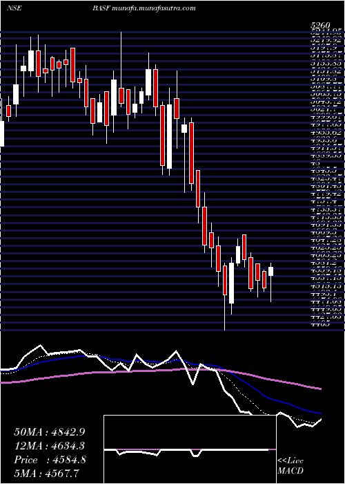  Daily chart BasfIndia