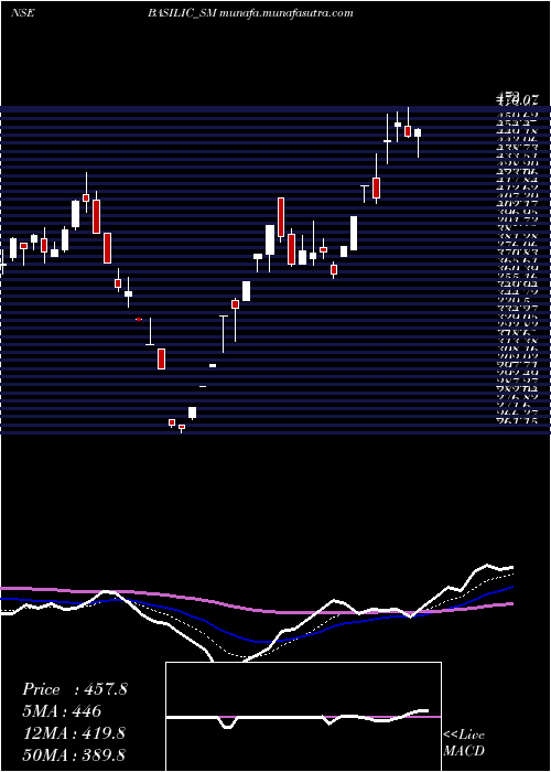  Daily chart BasilicFly