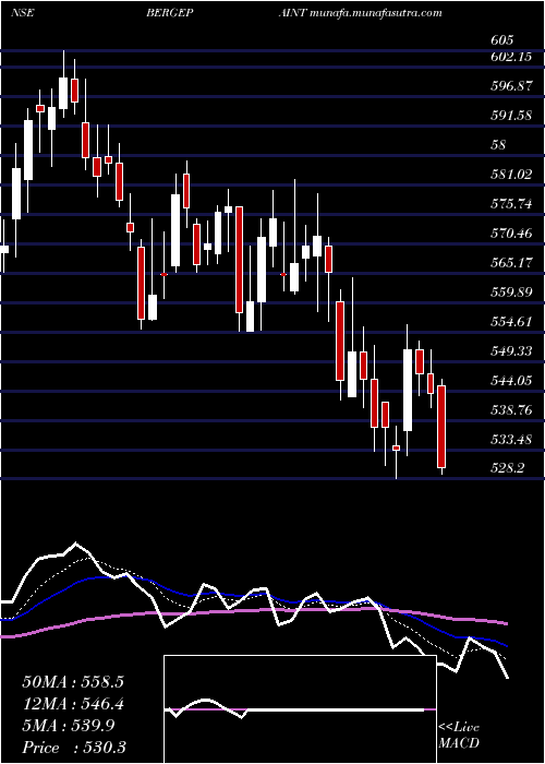  Daily chart BergerPaints
