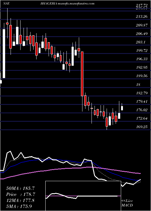  Daily chart BhageriaIndustries