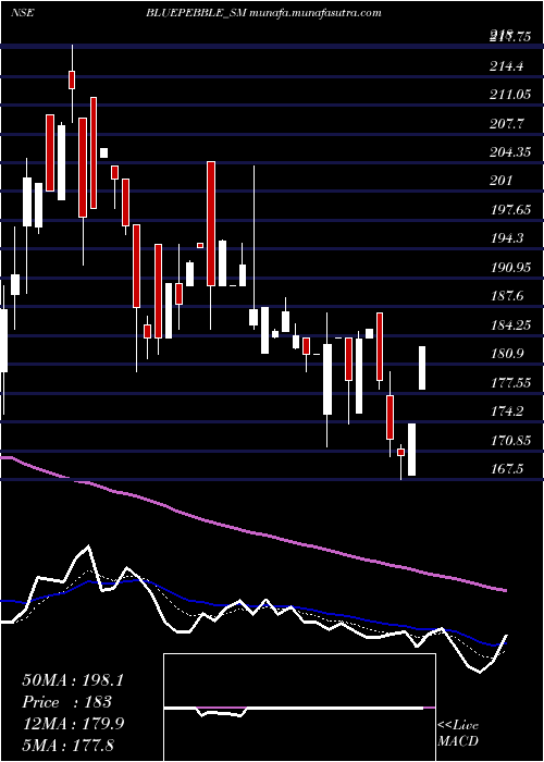  Daily chart BluePebble