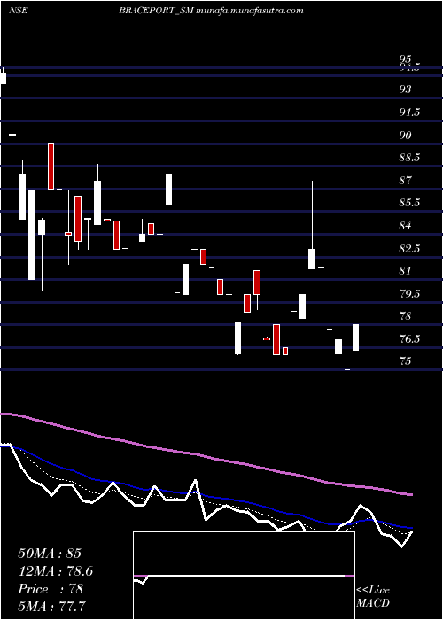  Daily chart BracePort