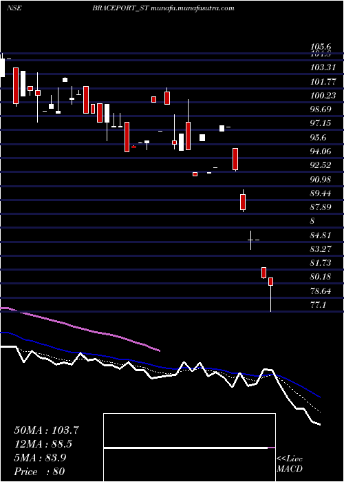  Daily chart BracePort