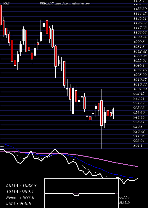  Daily chart BrigadeEnterprises