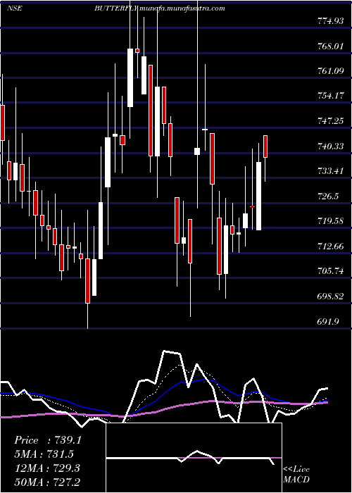  Daily chart ButterflyGandhimathi