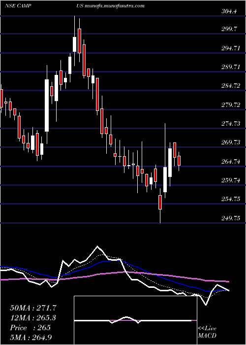  Daily chart CampusActivewear