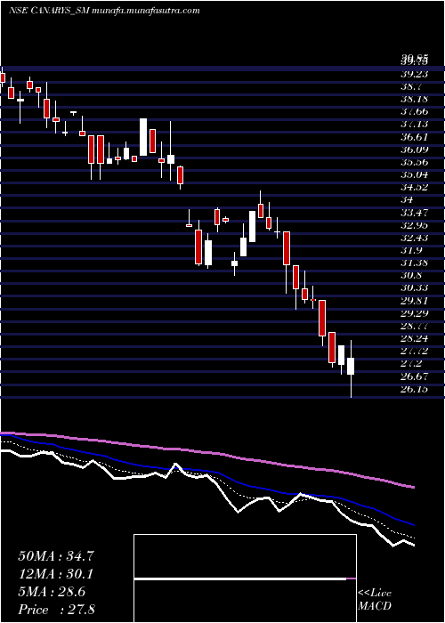  Daily chart CanarysAutomations