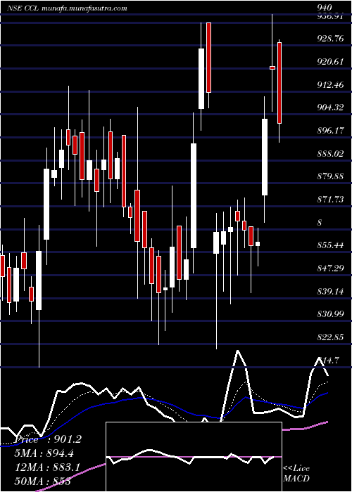  Daily chart CclProducts