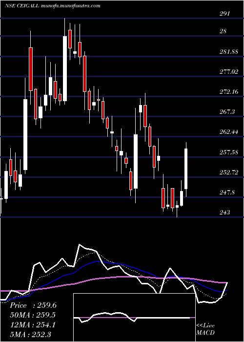  Daily chart CeigallIndia