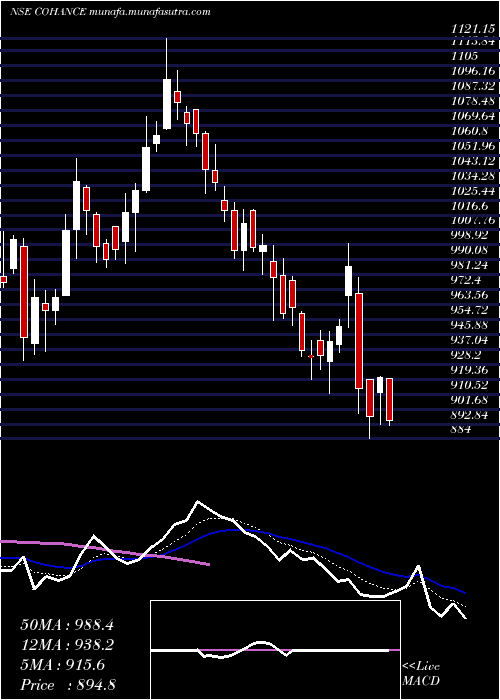  Daily chart CohanceLifesciences