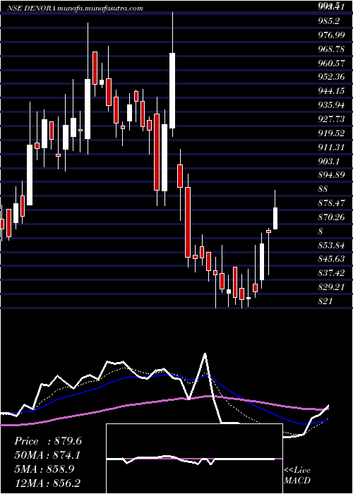  Daily chart DeNora