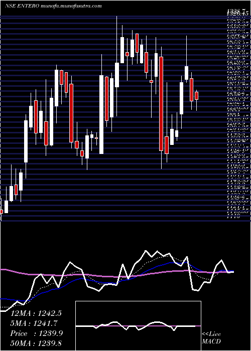  Daily chart EnteroHealthcare