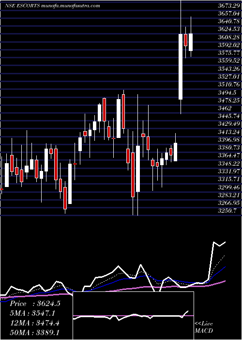  Daily chart Escorts