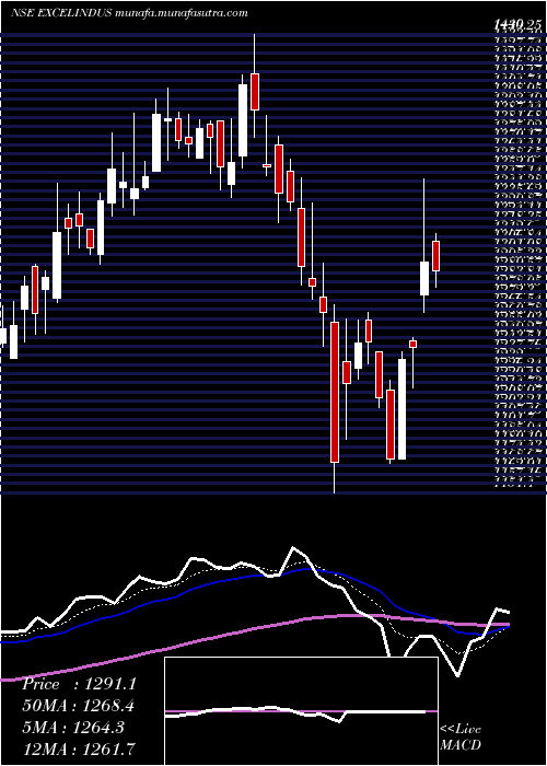  Daily chart ExcelIndustries