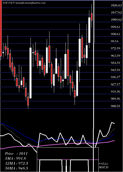  Daily chart FertilizersAnd