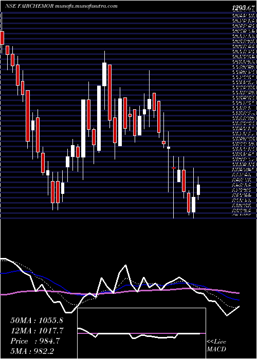  Daily chart FairchemOrganics