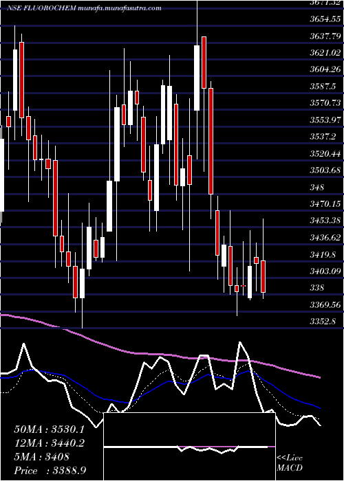  Daily chart GujaratFluorochem