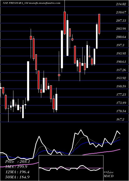  Daily chart FresharaAgro