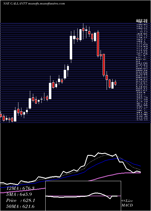  Daily chart GallanttMetal