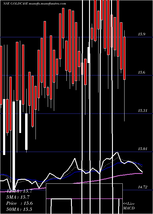  Daily chart ZerodhaamcGoldcase