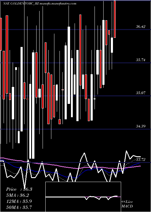  Daily chart GoldenTobacco
