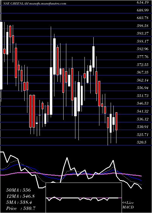  Daily chart GreenlamIndustries