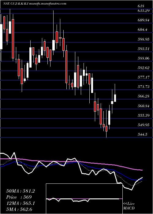  Daily chart GujaratAlkalies