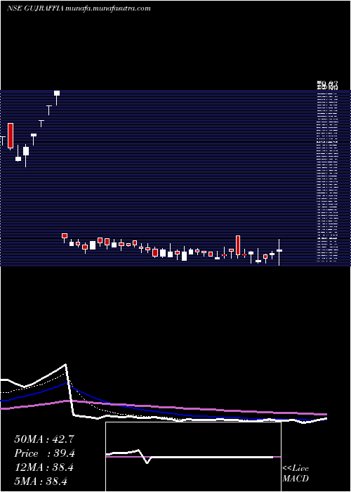  Daily chart GujRaffia