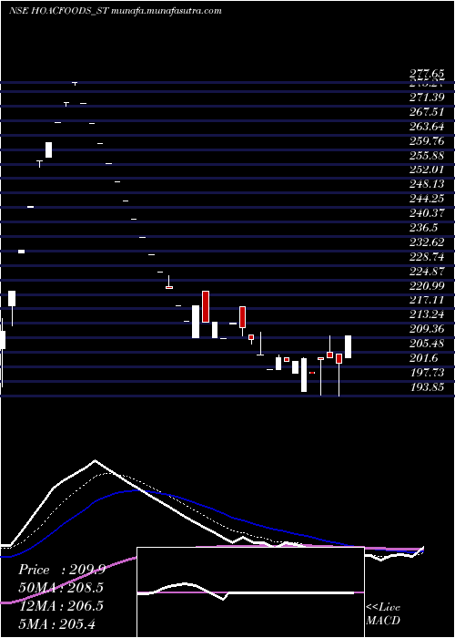  Daily chart HoacFoods