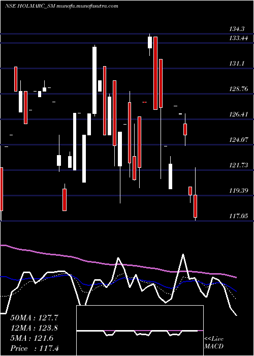  Daily chart HolmarcOpto