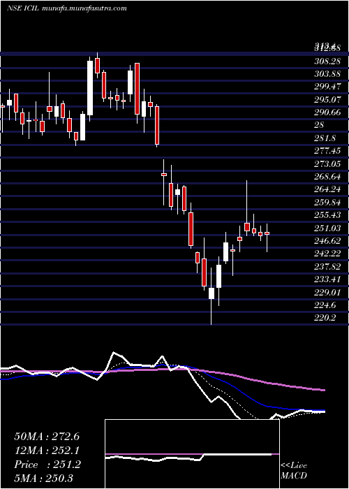  Daily chart IndoCount