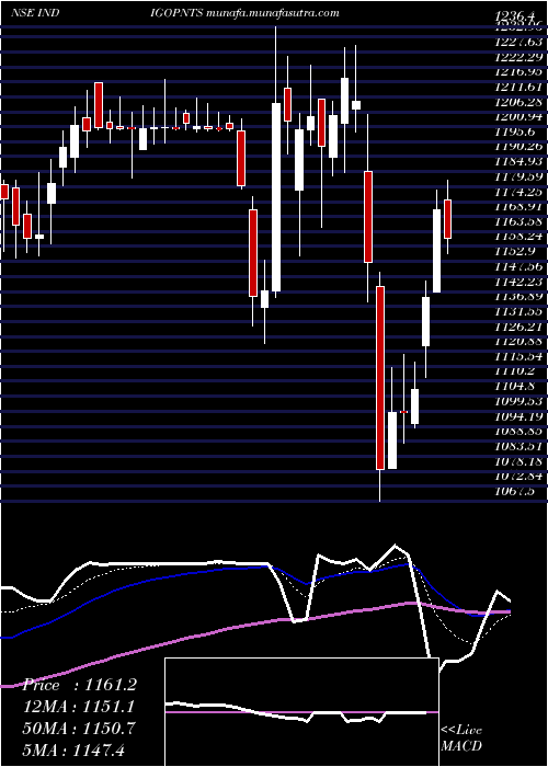  Daily chart IndigoPaints
