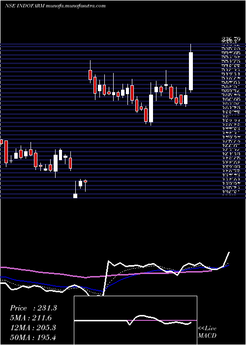  Daily chart IndoFarm