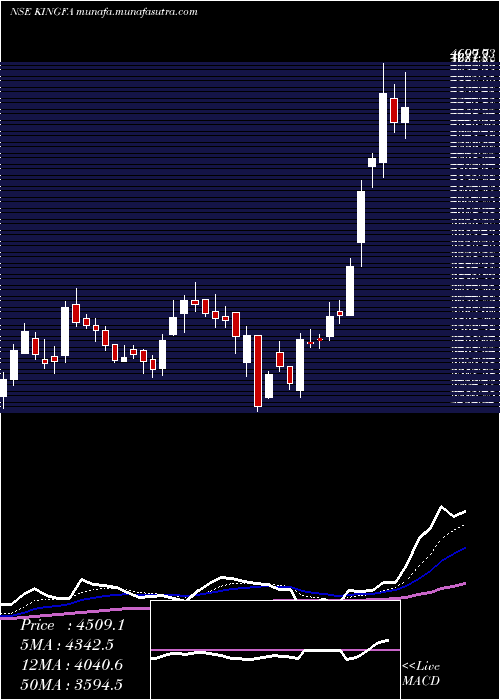  Daily chart KingfaSci