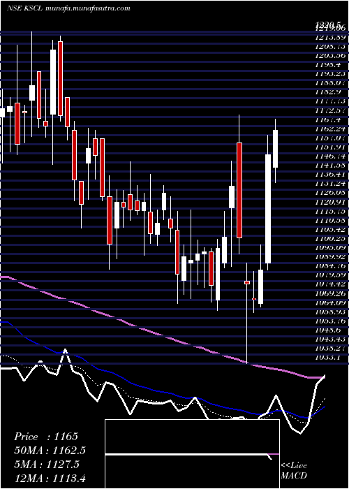  Daily chart KaveriSeed