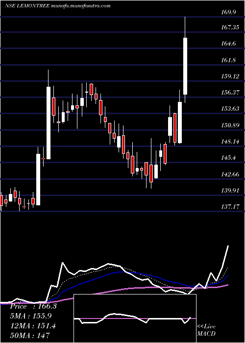  Daily chart LemonTree