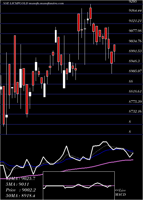  Daily chart LicMf