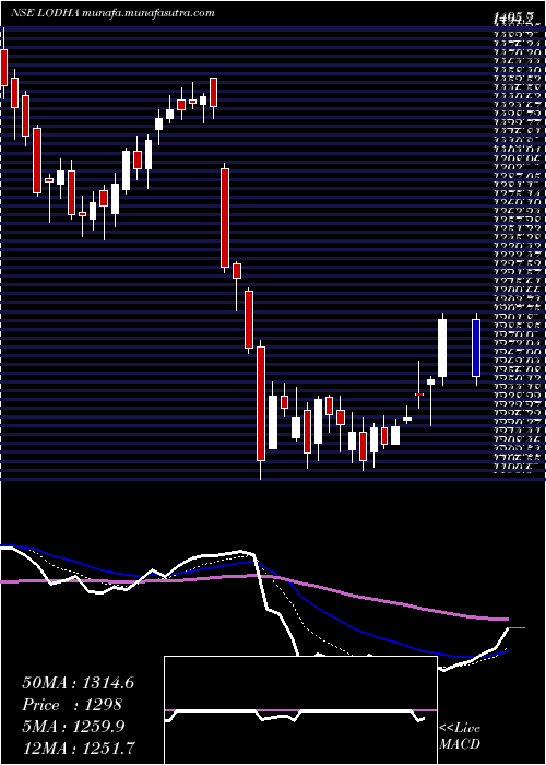  Daily chart MacrotechDevelopers