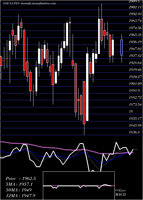  Daily chart Lupin