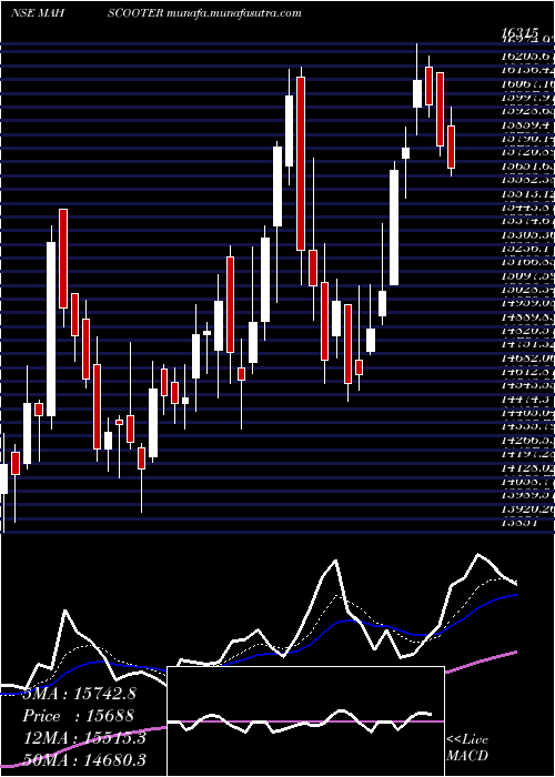  Daily chart MaharashtraScooters