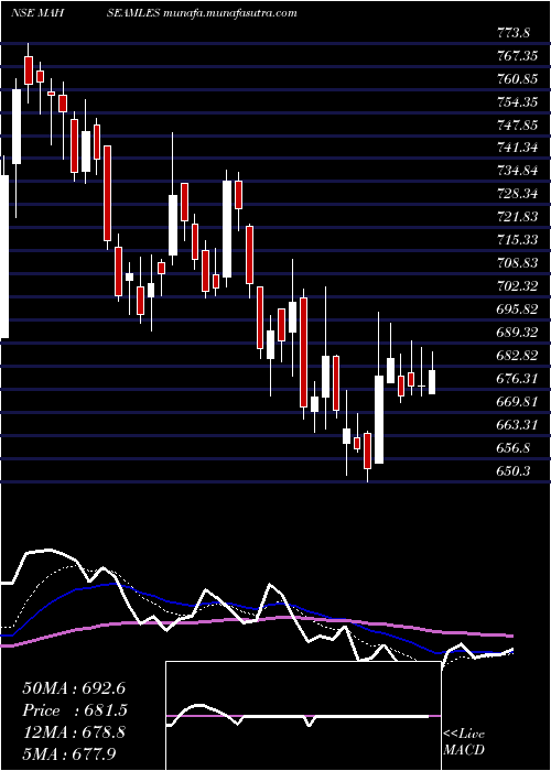  Daily chart MaharashtraSeamless