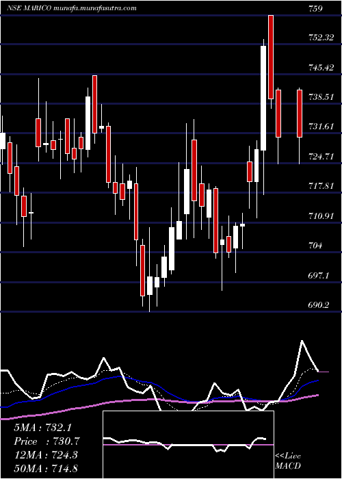  Daily chart Marico
