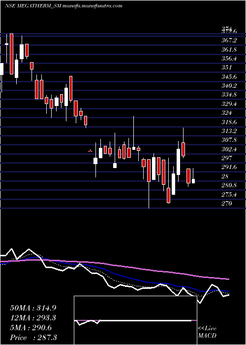  Daily chart MegathermInduction