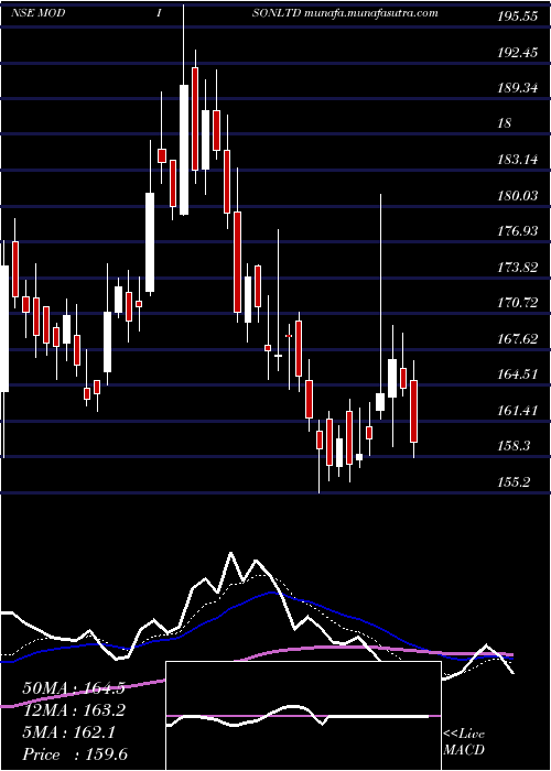  Daily chart Modison
