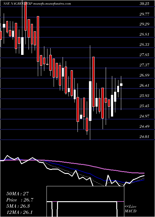  Daily chart NagreekaExports